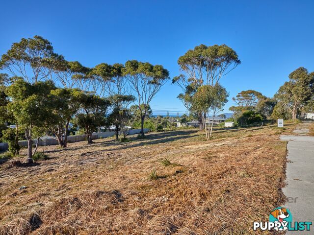 9 Sunrise Court SCAMANDER TAS 7215