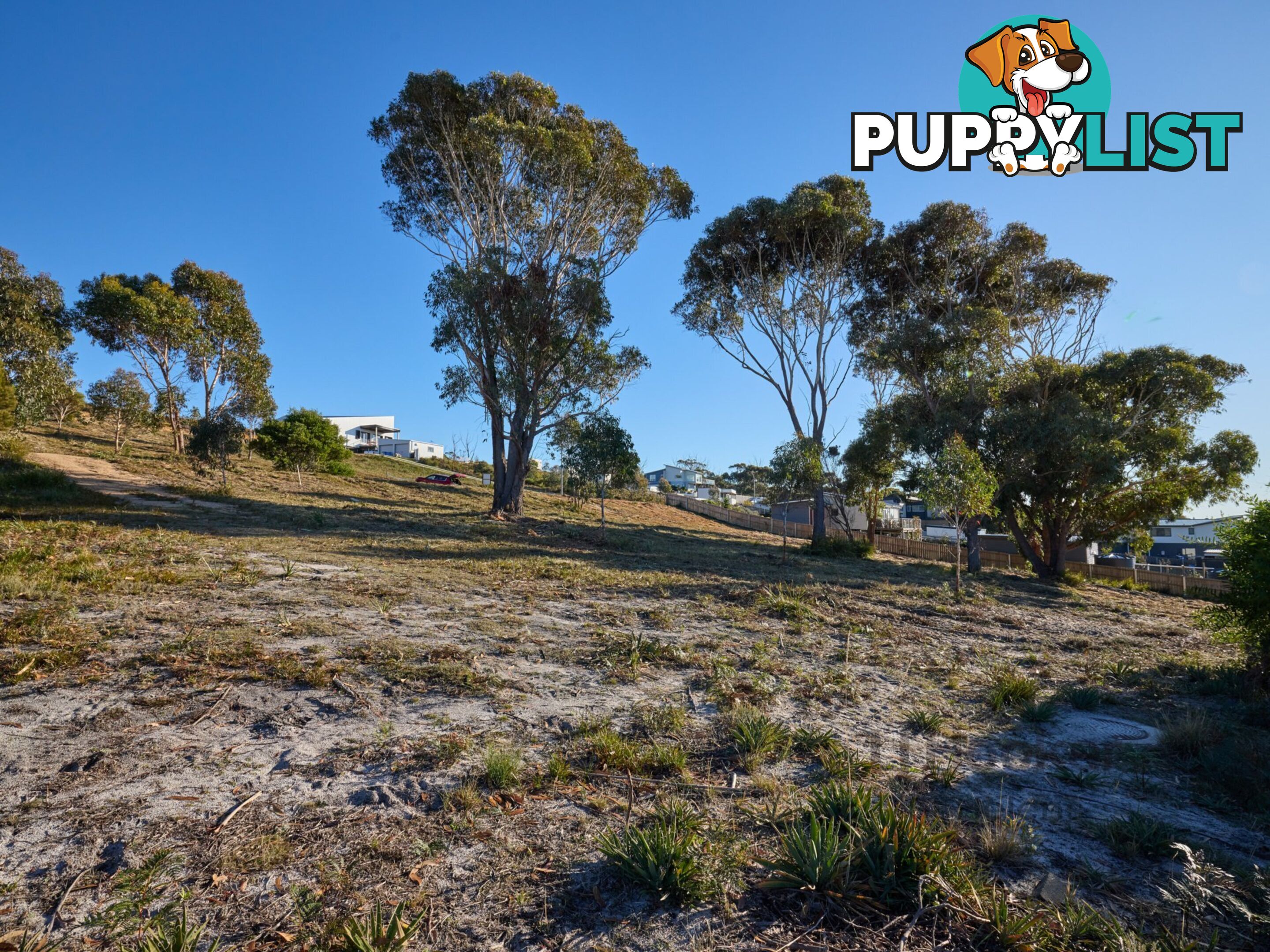 9 Sunrise Court SCAMANDER TAS 7215