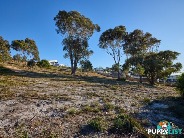 9 Sunrise Court SCAMANDER TAS 7215