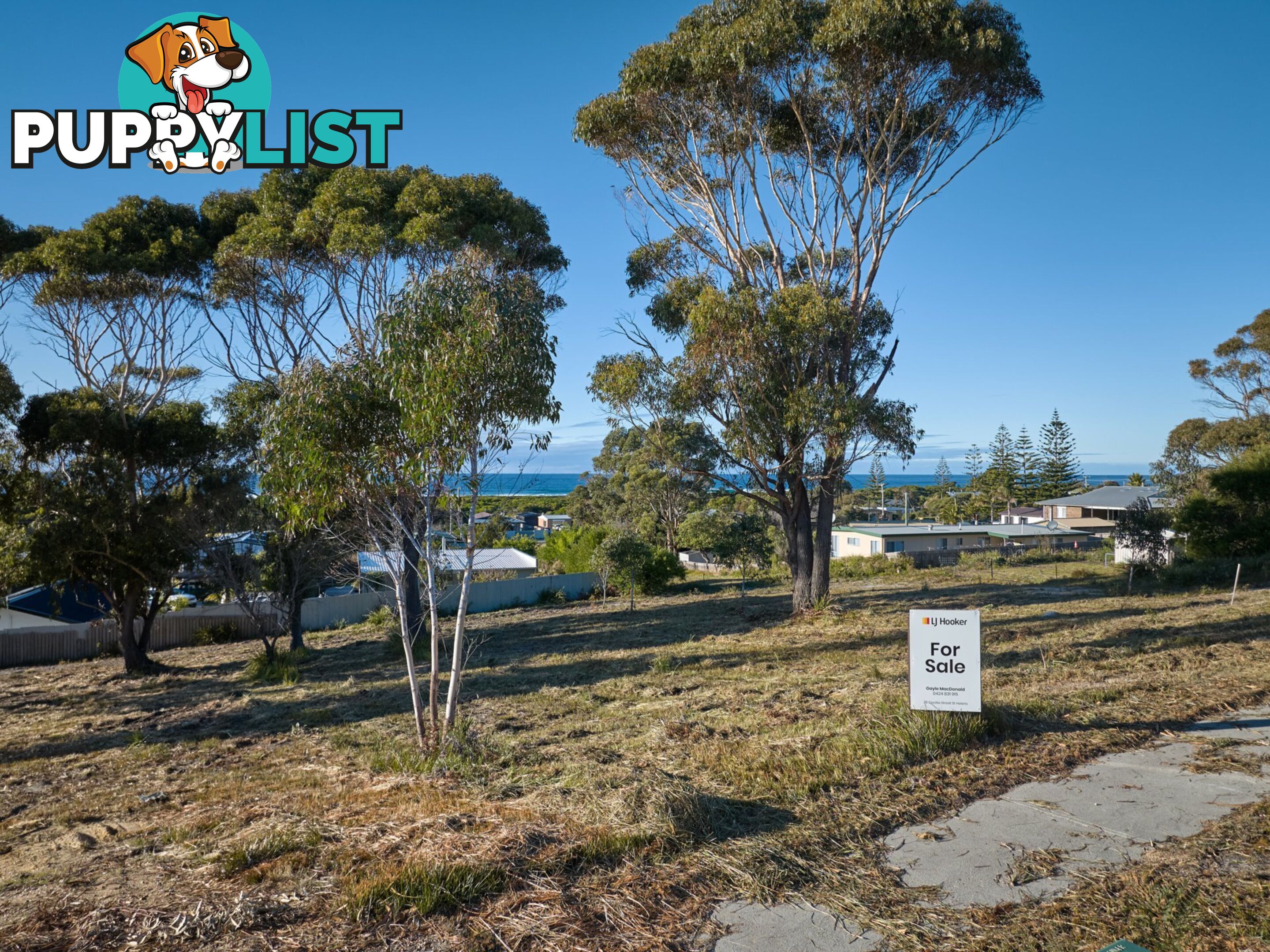 9 Sunrise Court SCAMANDER TAS 7215