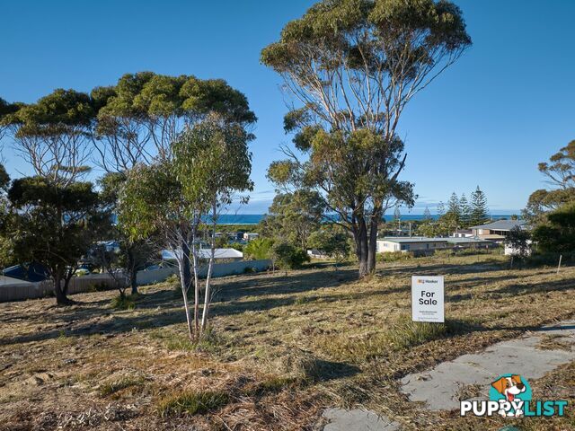 9 Sunrise Court SCAMANDER TAS 7215