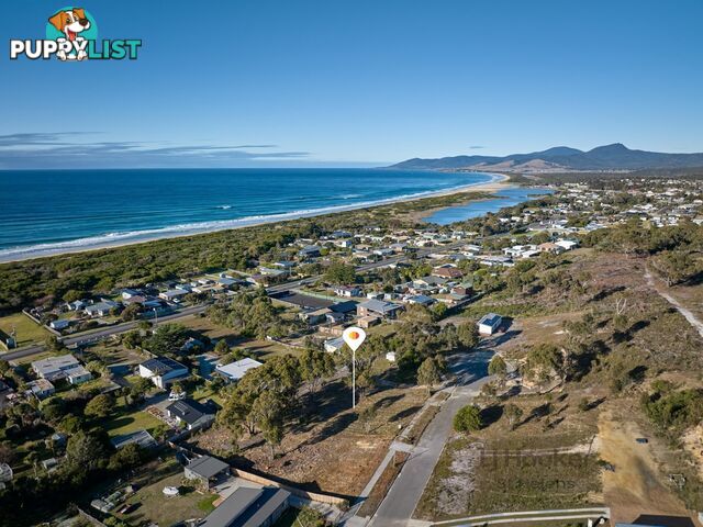9 Sunrise Court SCAMANDER TAS 7215