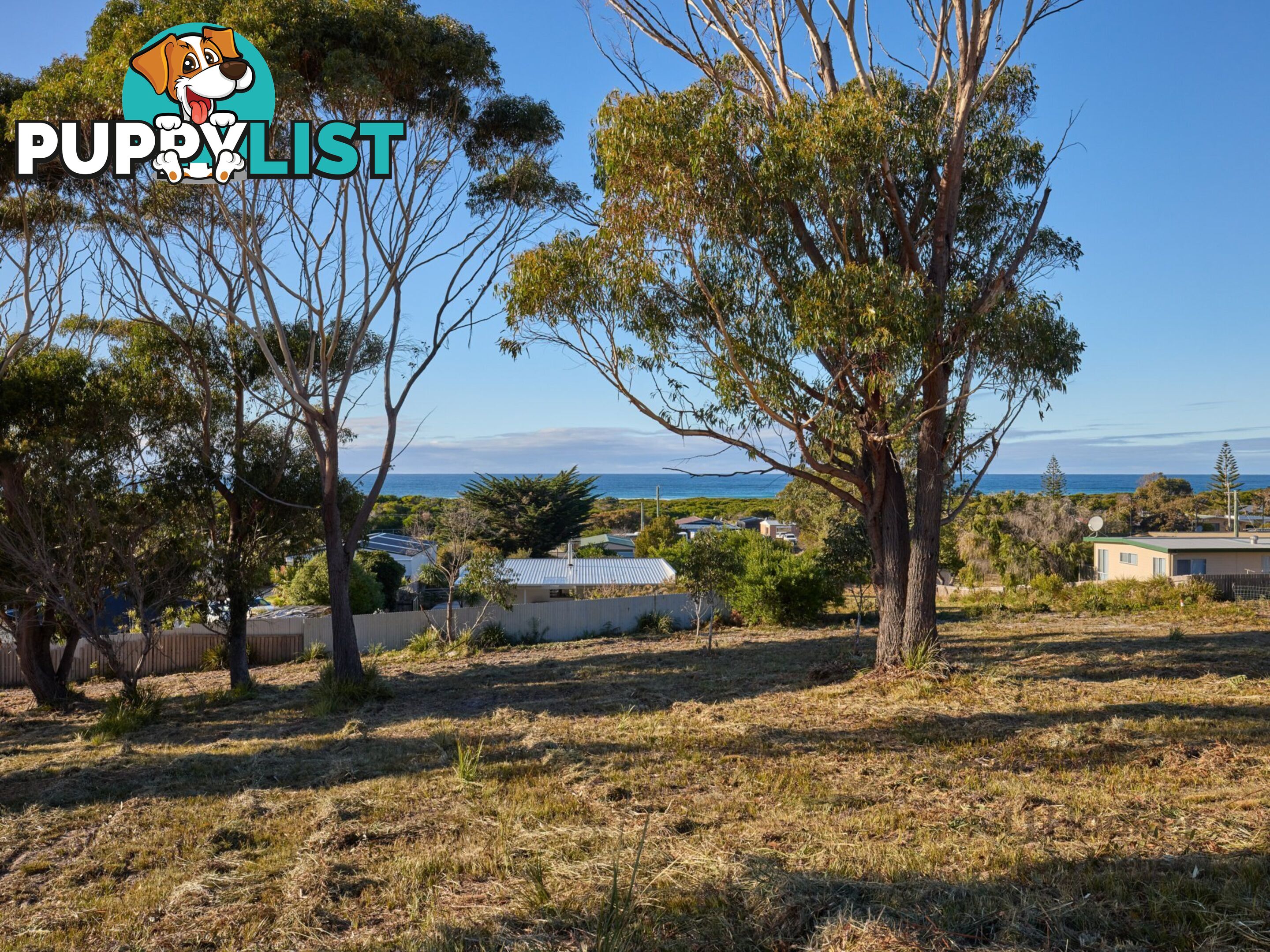 9 Sunrise Court SCAMANDER TAS 7215