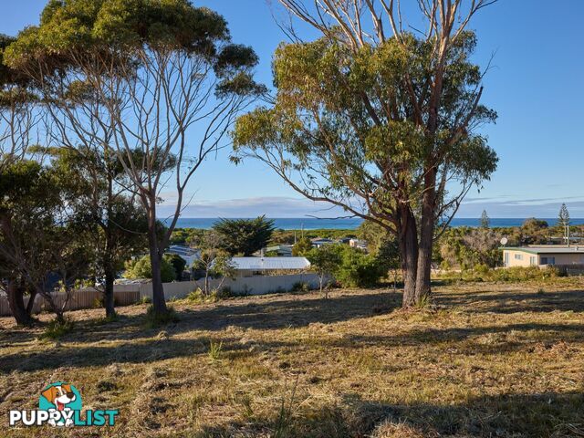 9 Sunrise Court SCAMANDER TAS 7215