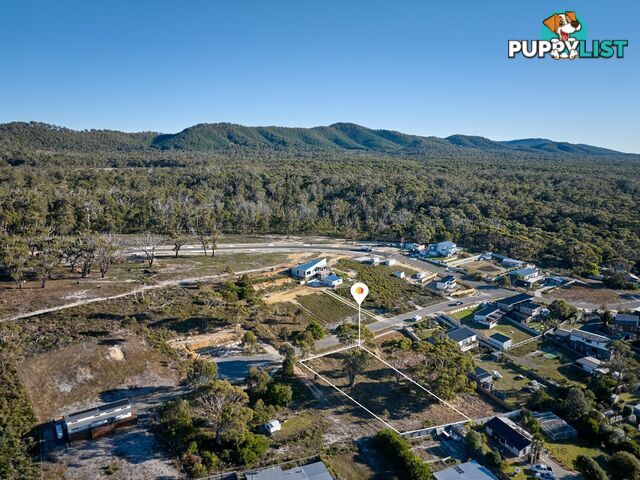 9 Sunrise Court SCAMANDER TAS 7215