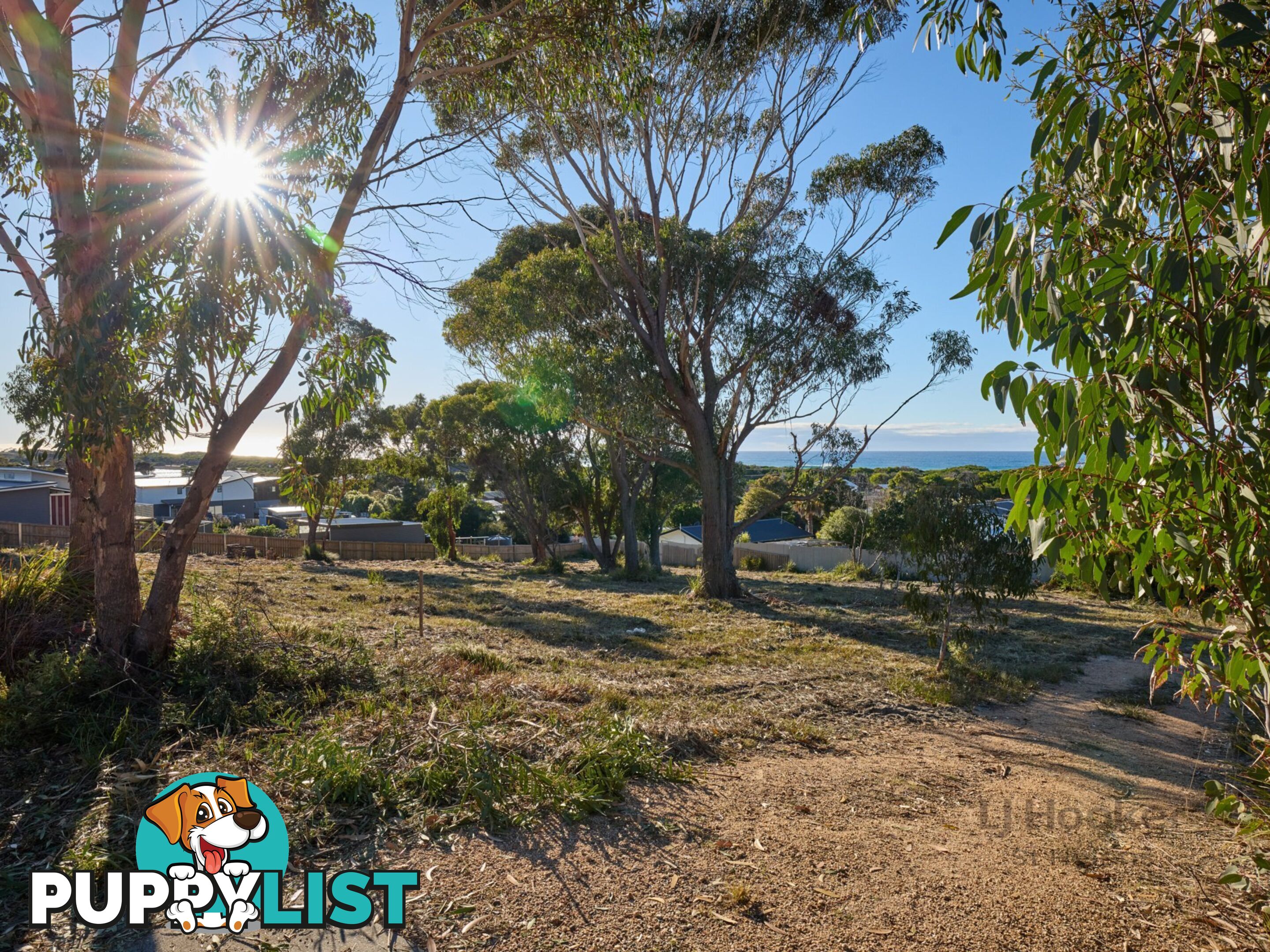 9 Sunrise Court SCAMANDER TAS 7215