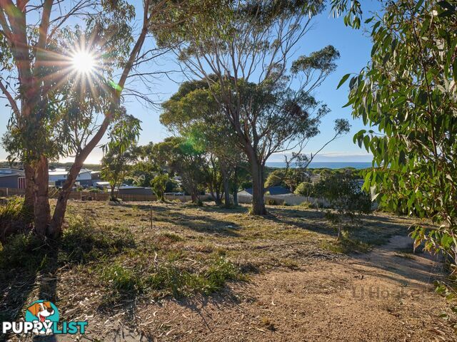 9 Sunrise Court SCAMANDER TAS 7215