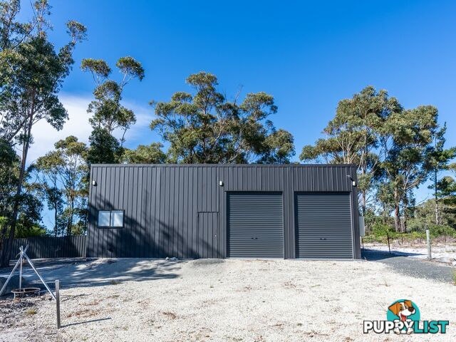 42 Freshwater Street BEAUMARIS TAS 7215