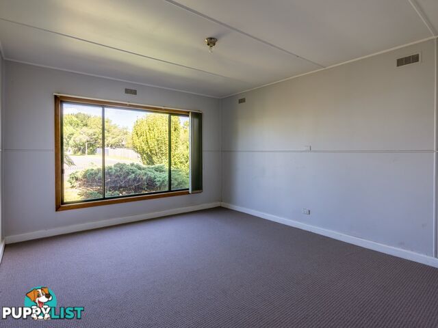 26 Clive Street ST MARYS TAS 7215