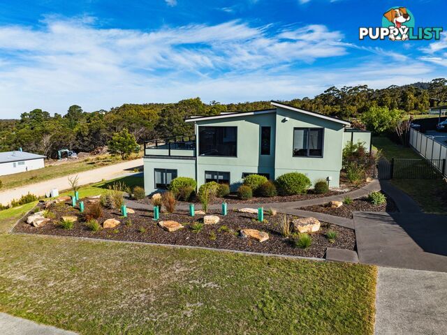 61 Lawry Heights ST HELENS TAS 7216