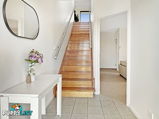 61 Lawry Heights ST HELENS TAS 7216