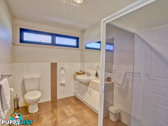 61 Lawry Heights ST HELENS TAS 7216