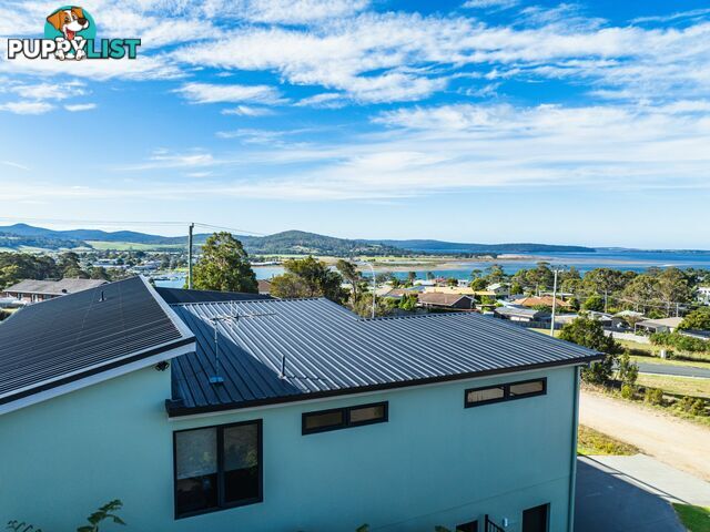 61 Lawry Heights ST HELENS TAS 7216