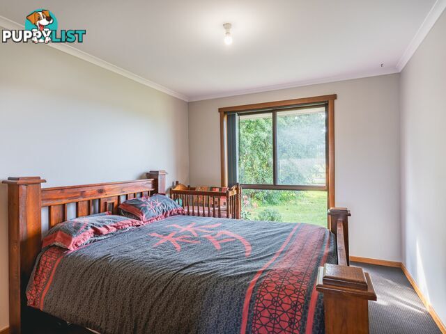 79 Tully Street ST HELENS TAS 7216