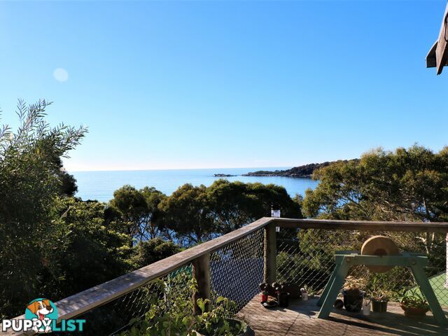 38 Treloggen Drive BINALONG BAY TAS 7216