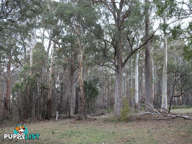 Lot 1 Gardiners Creek Road ST MARYS TAS 7215