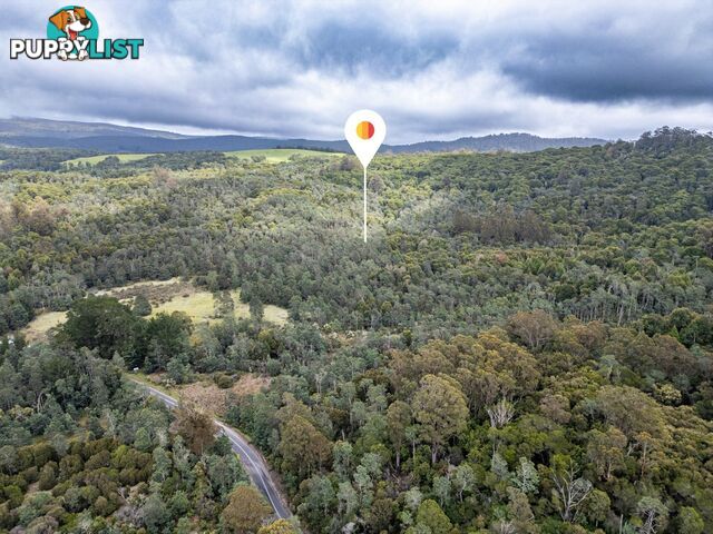 Part of PI Tasman Highway WELDBOROUGH TAS 7264