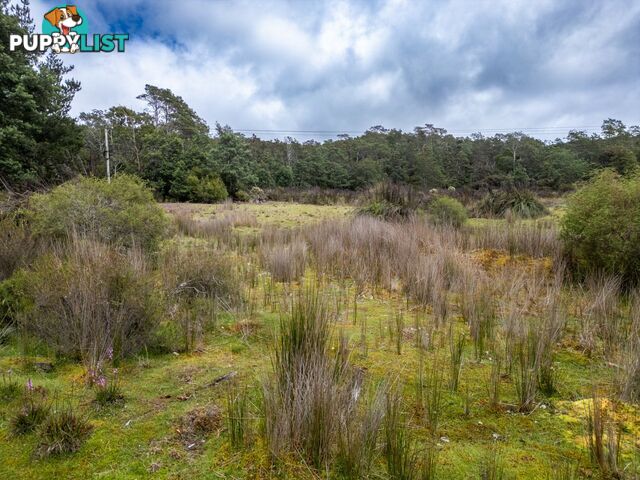 Part of PI Tasman Highway WELDBOROUGH TAS 7264