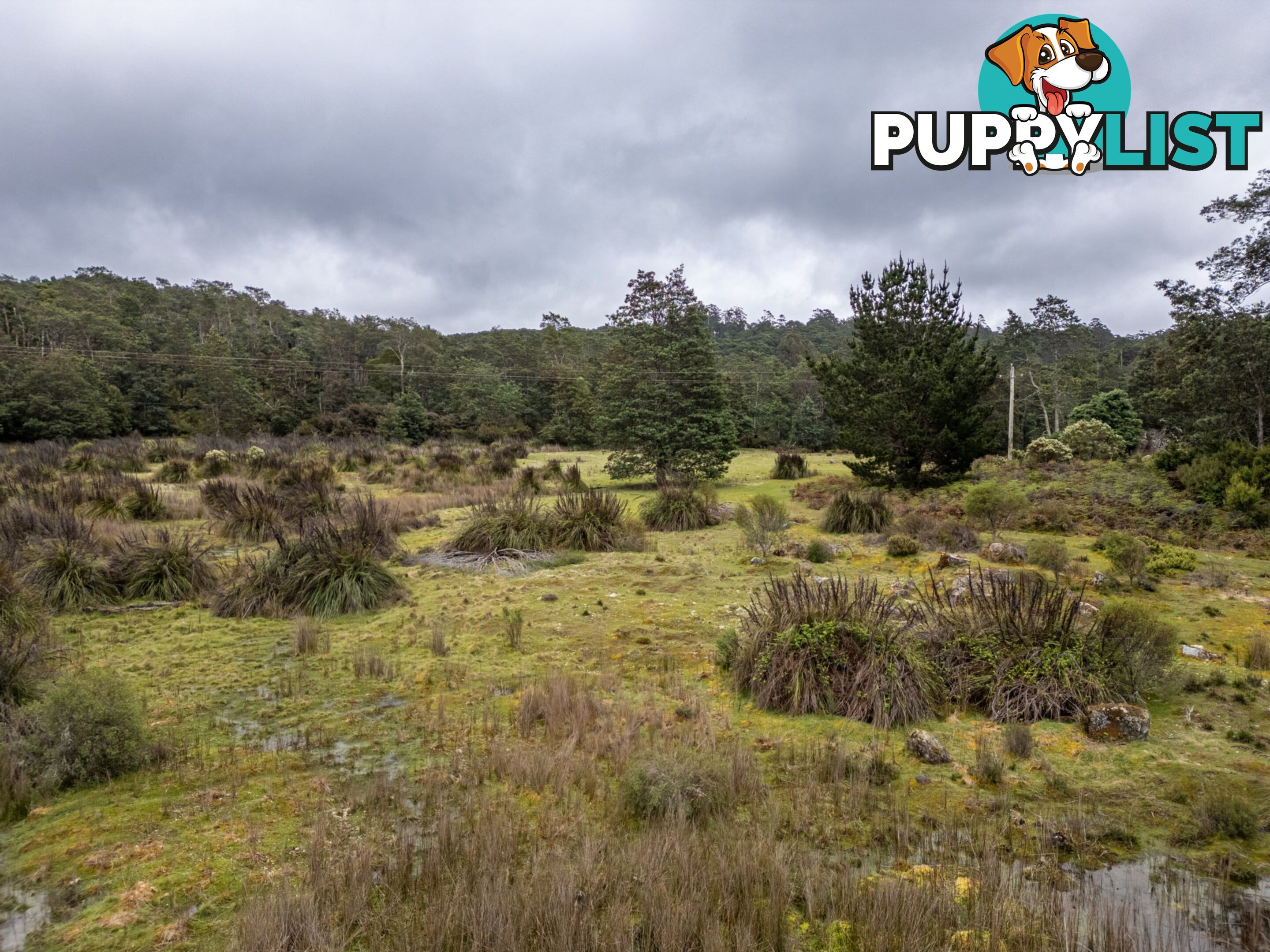 Part of PI Tasman Highway WELDBOROUGH TAS 7264