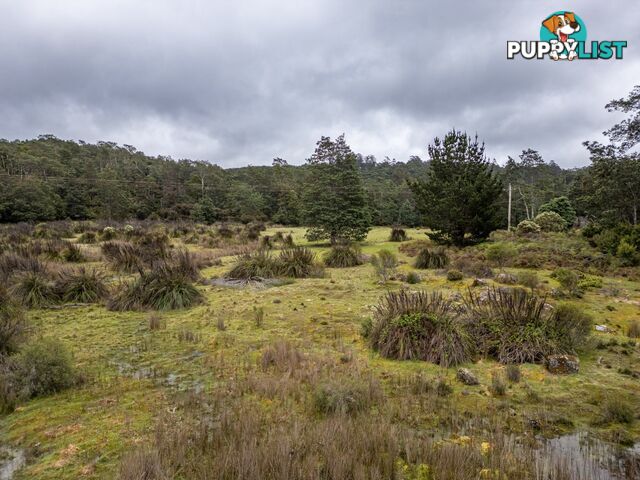 Part of PI Tasman Highway WELDBOROUGH TAS 7264