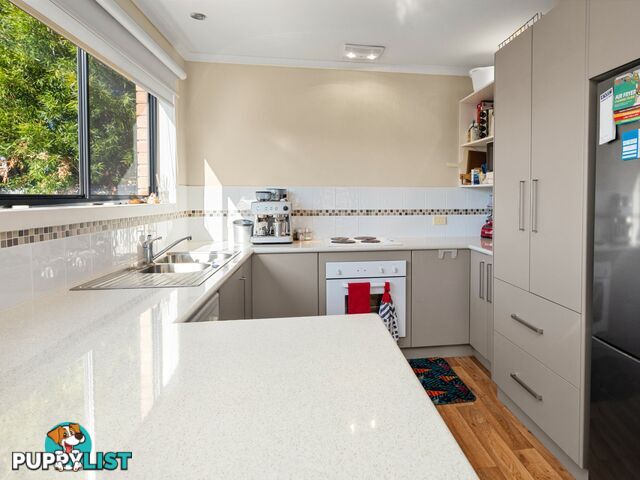 Unit 1/8 Alma Court ST HELENS TAS 7216