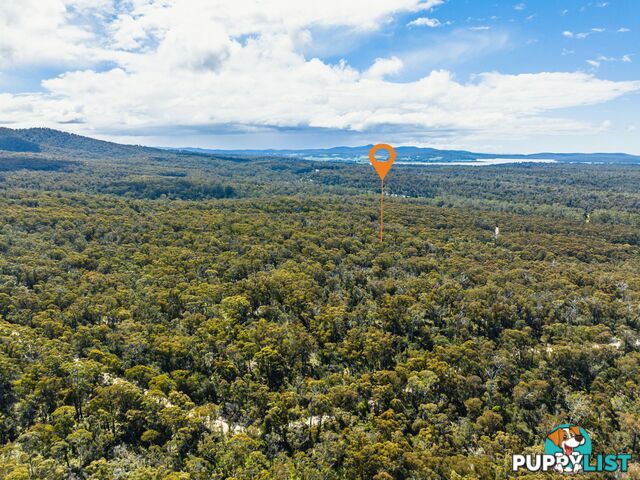 PID 773146 Basin Creek Road ST HELENS TAS 7216