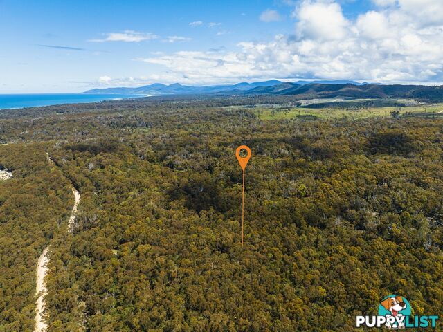 PID 773146 Basin Creek Road ST HELENS TAS 7216