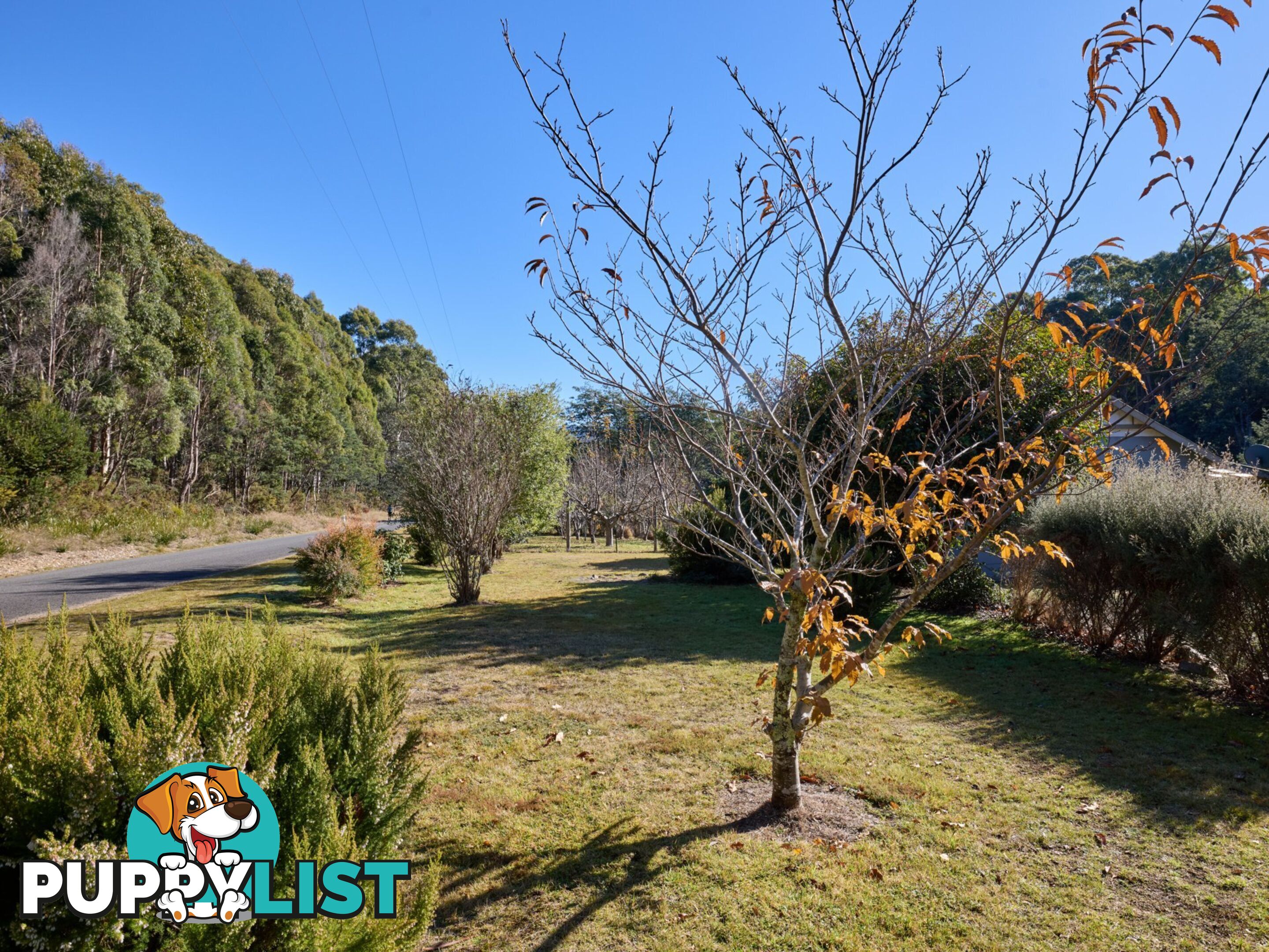 109 Irish Town Road ST MARYS TAS 7215