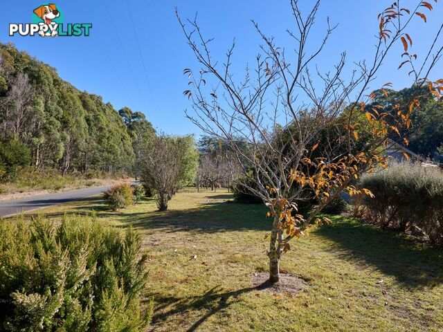 109 Irish Town Road ST MARYS TAS 7215
