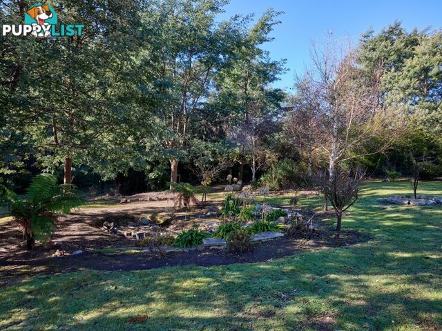 109 Irish Town Road ST MARYS TAS 7215