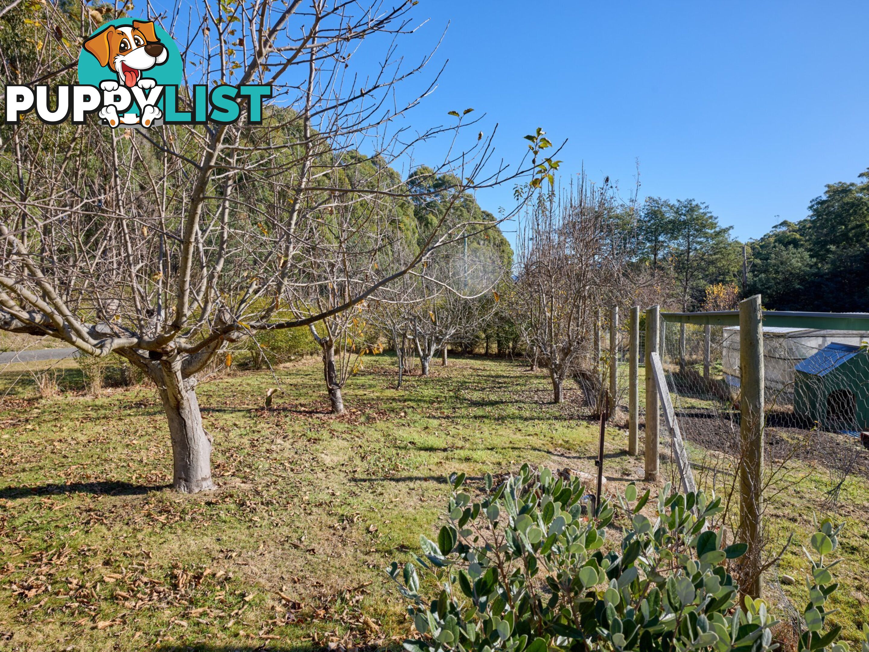 109 Irish Town Road ST MARYS TAS 7215