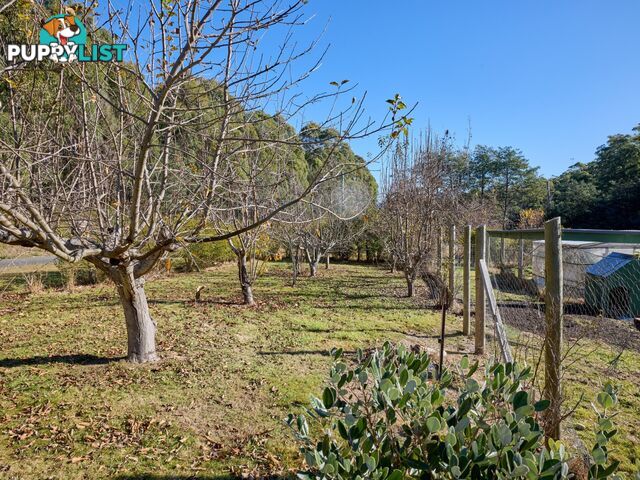109 Irish Town Road ST MARYS TAS 7215