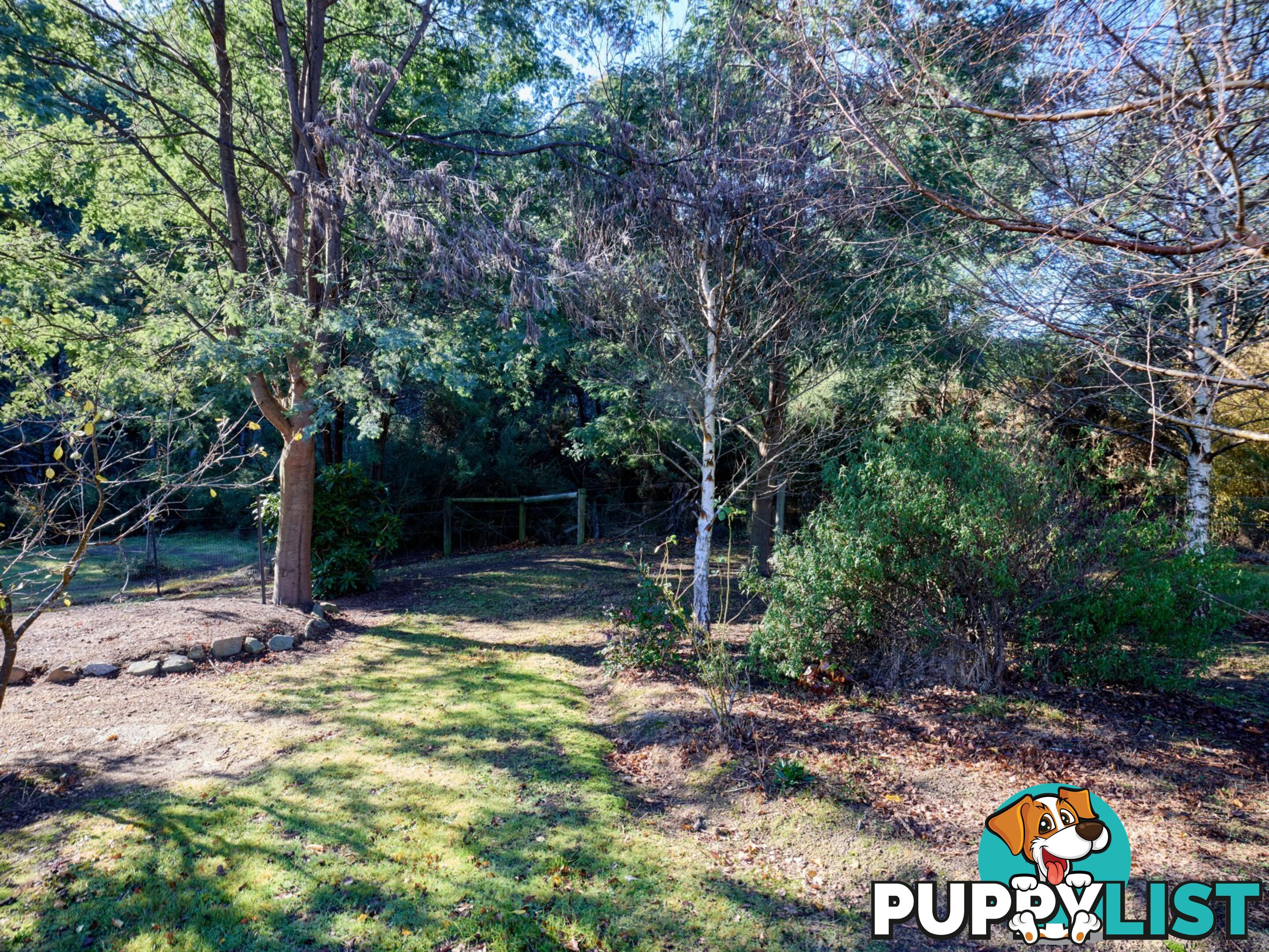 109 Irish Town Road ST MARYS TAS 7215
