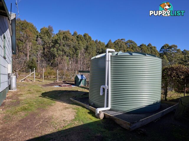 109 Irish Town Road ST MARYS TAS 7215