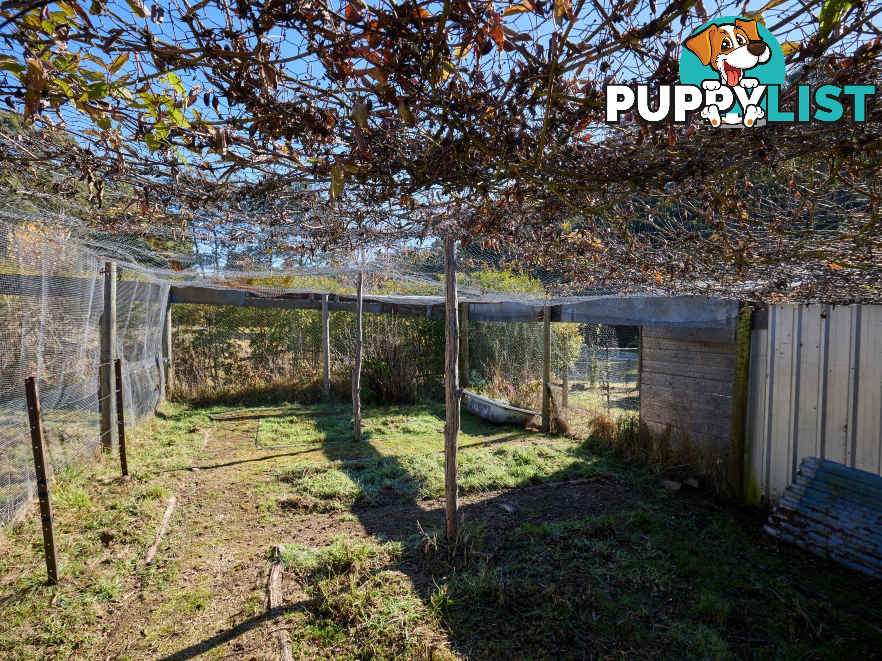 109 Irish Town Road ST MARYS TAS 7215