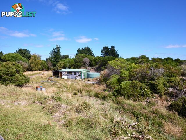 1433 Dolphin Sands Road DOLPHIN SANDS TAS 7190