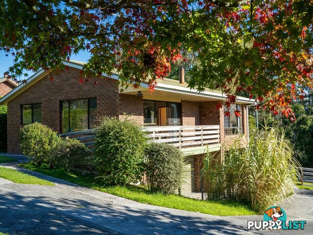 5 Penelope Street ST HELENS TAS 7216