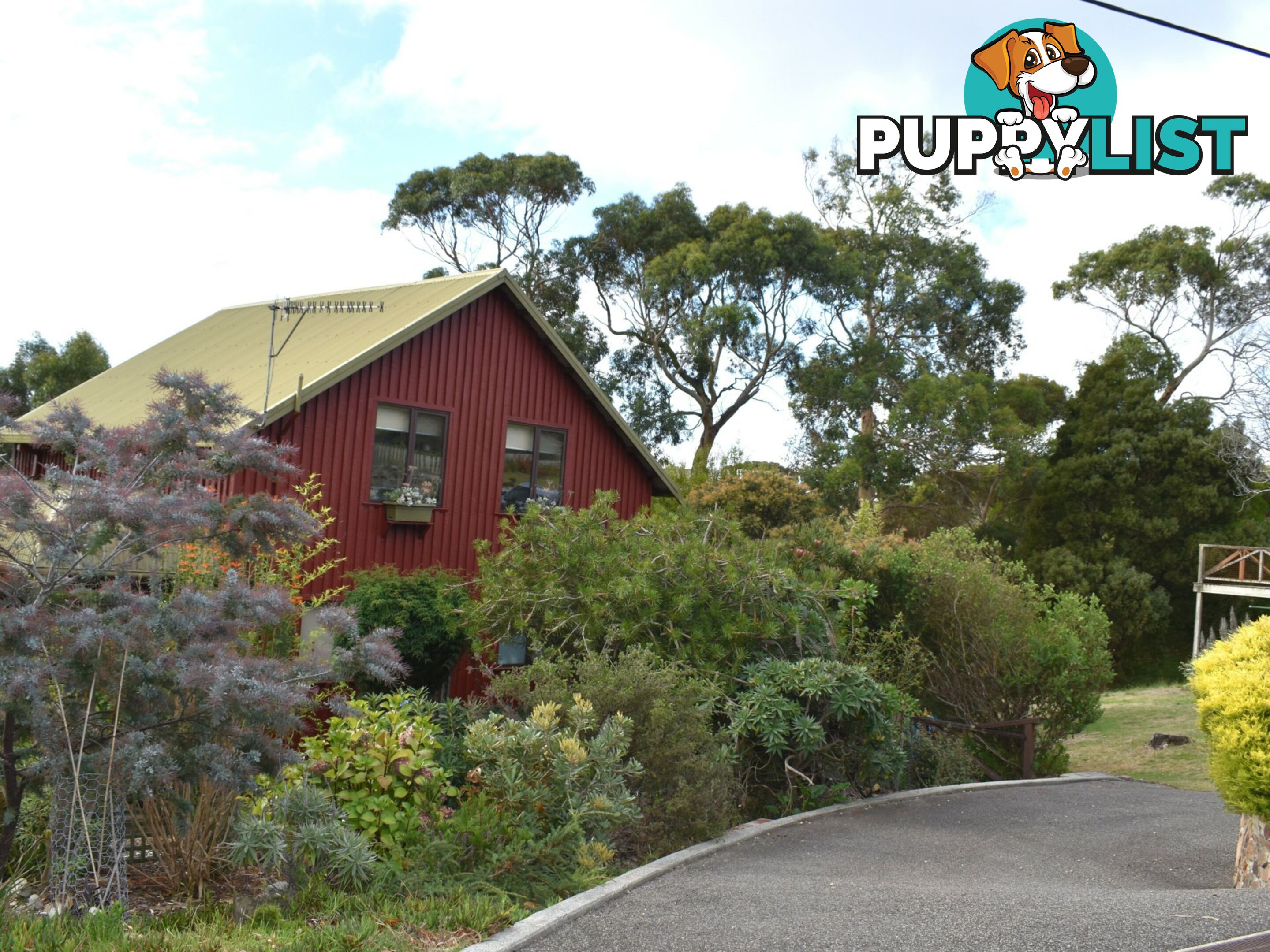 14 Coffey Drive BINALONG BAY TAS 7216