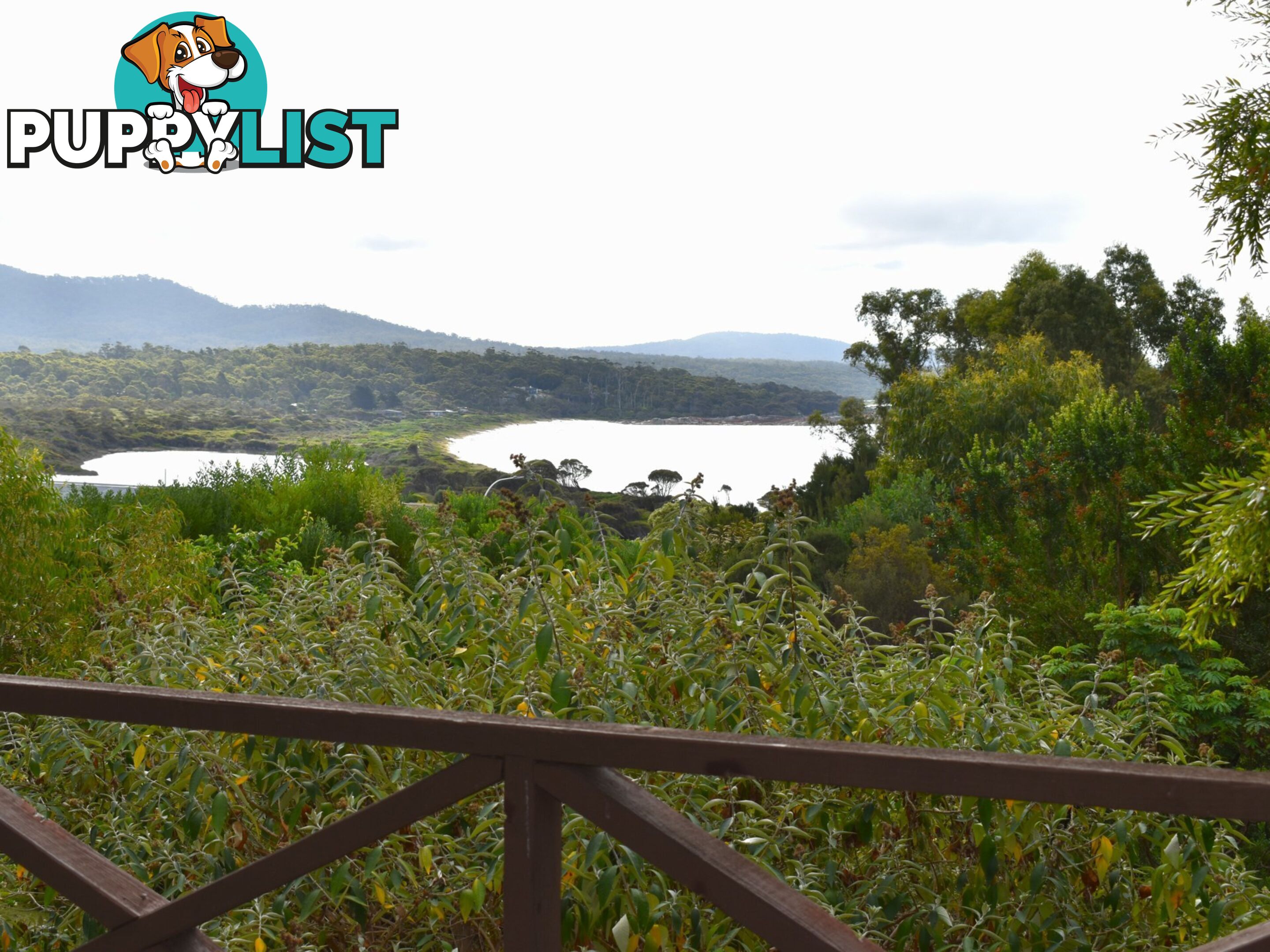 14 Coffey Drive BINALONG BAY TAS 7216