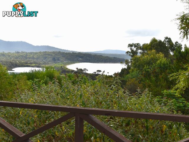 14 Coffey Drive BINALONG BAY TAS 7216