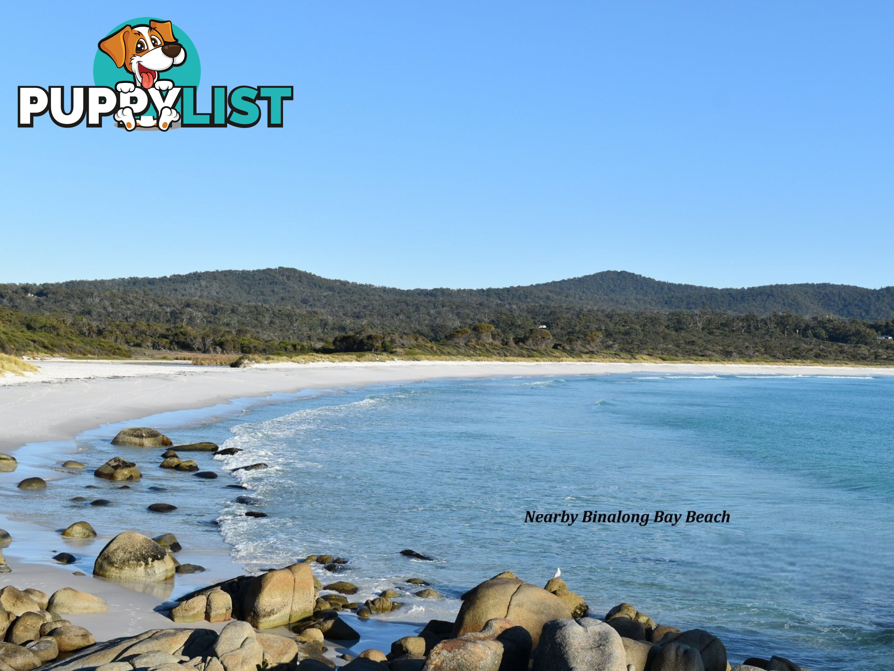 106 Main Road BINALONG BAY TAS 7216