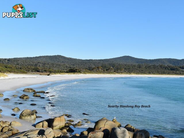 106 Main Road BINALONG BAY TAS 7216
