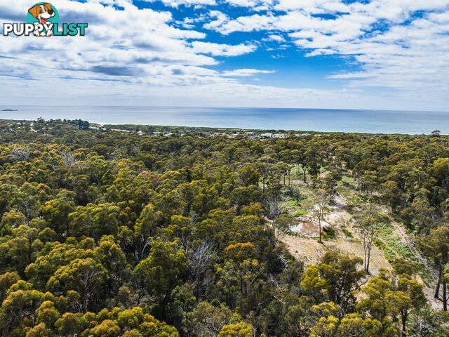 Lot 1 Ocean Drive BEAUMARIS TAS 7215