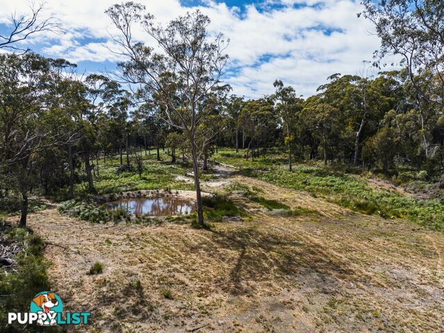 Lot 1 Ocean Drive BEAUMARIS TAS 7215