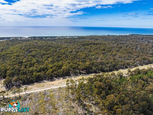 Lot 1 Ocean Drive BEAUMARIS TAS 7215