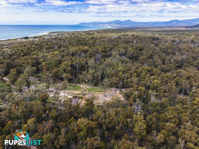 Lot 1 Ocean Drive BEAUMARIS TAS 7215