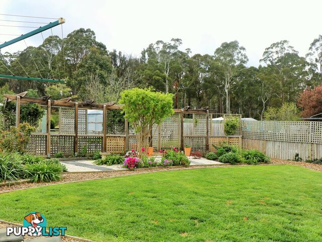 5 Frederick Street ST MARYS TAS 7215