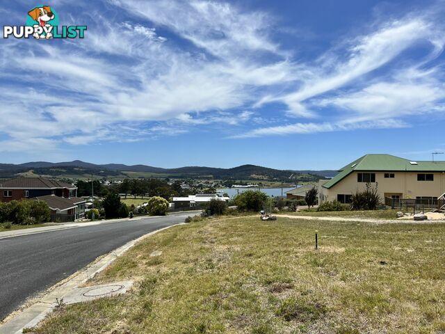 13 Cobrooga Drive ST HELENS TAS 7216