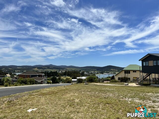 13 Cobrooga Drive ST HELENS TAS 7216