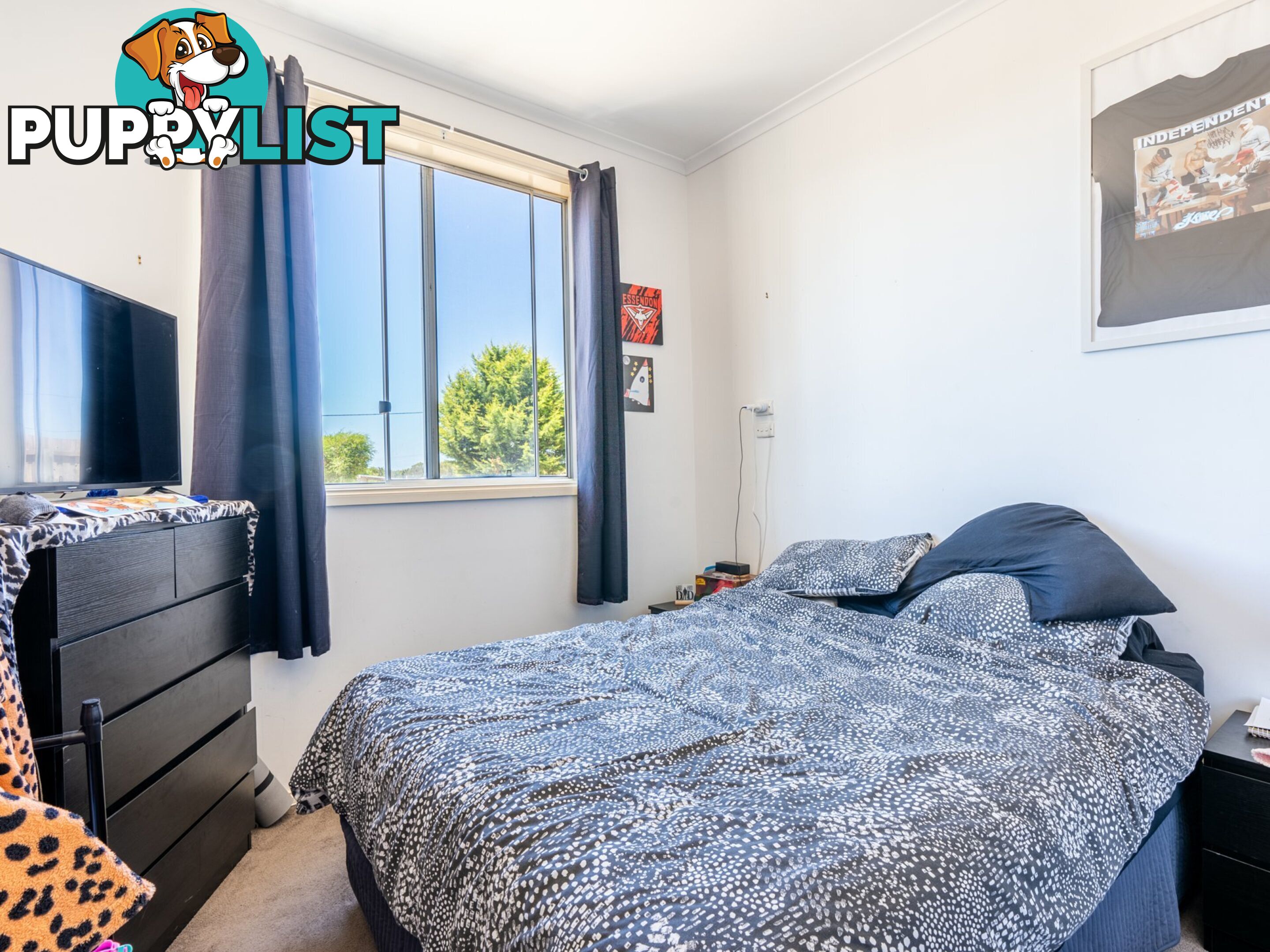 6 Beaumaris Avenue BEAUMARIS TAS 7215